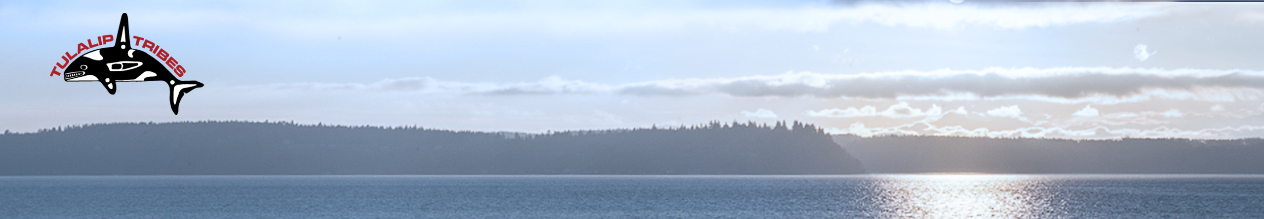 Tulalip Tribes waterfront with whale logo